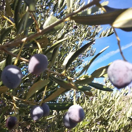 Sara & Kike With Sea View