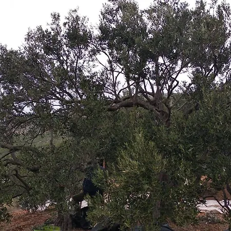 Sara & Kike With Sea View *