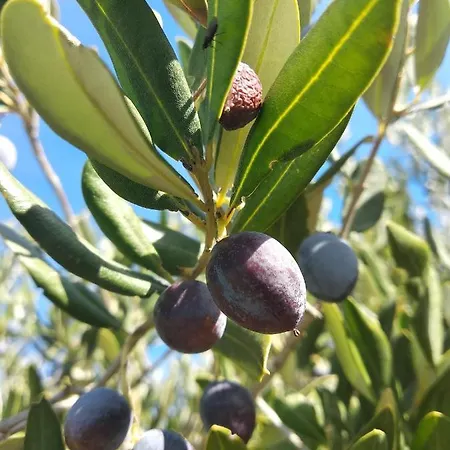 Apartment Sara & Kike With Sea View