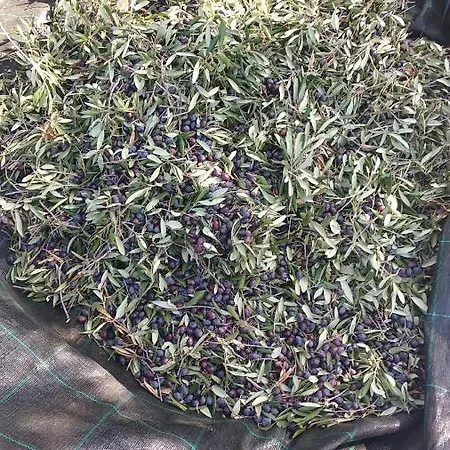 Sara & Kike With Sea View Lejlighed *