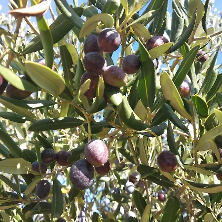 Sara & Kike With Sea View