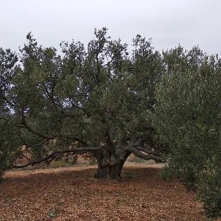 Sara & Kike With Sea View *