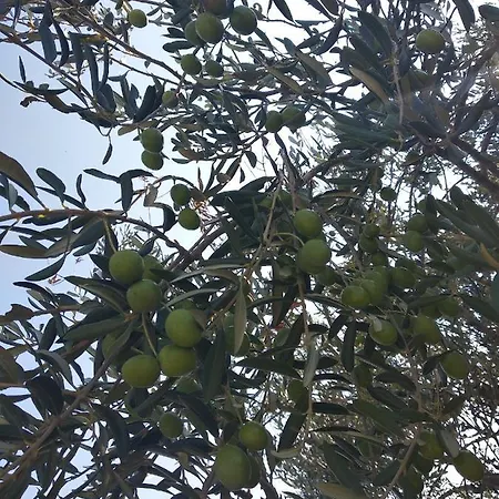 Sara & Kike With Sea View Brodarica (Sibenik-Knin)