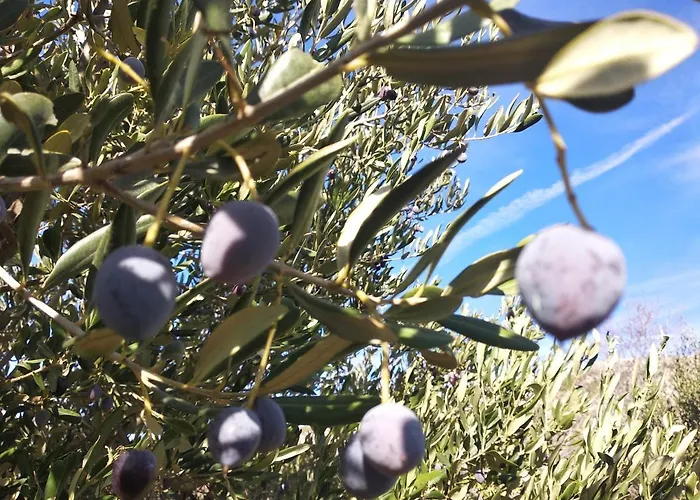 Sara & Kike With Sea View