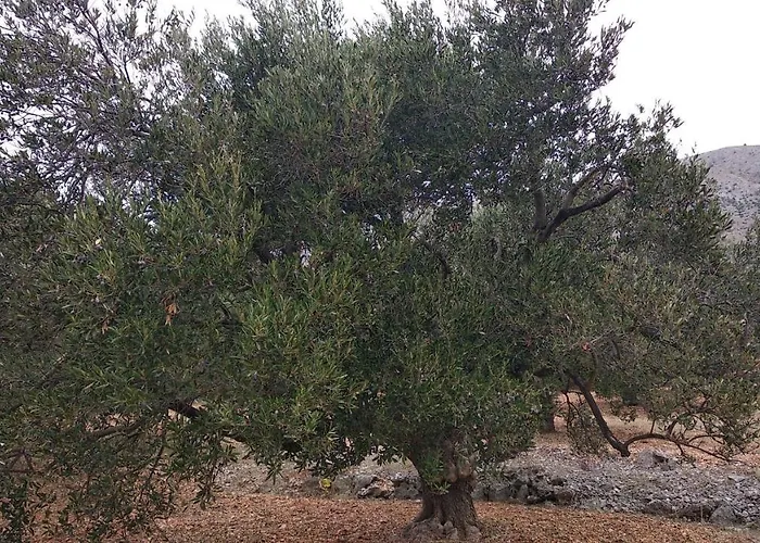 Appartement Sara & Kike With Sea View Brodarica (Sibenik-Knin)