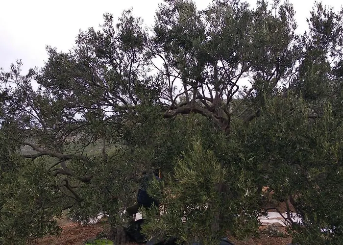 Sara & Kike With Sea View *