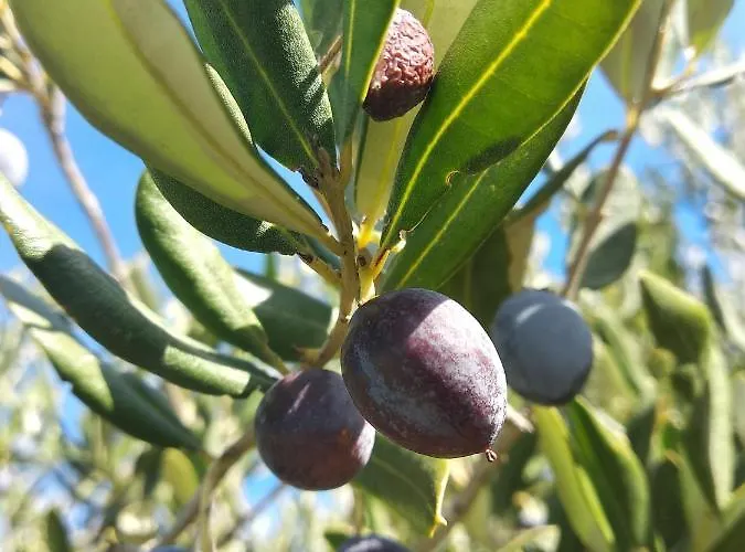 Appartement Sara & Kike With Sea View