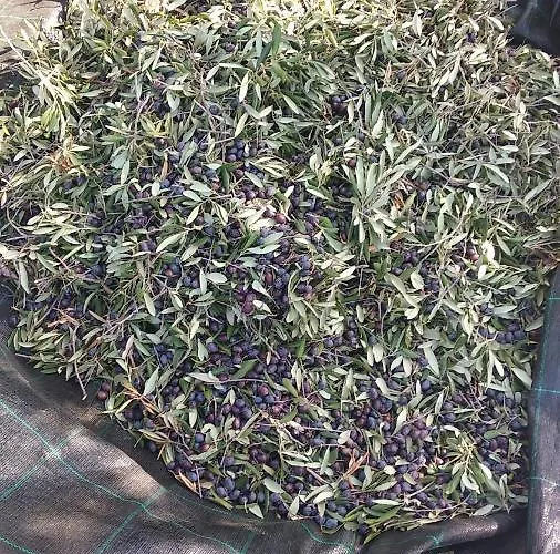 Sara & Kike With Sea View Appartement *