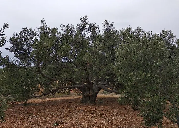 Sara & Kike With Sea View *
