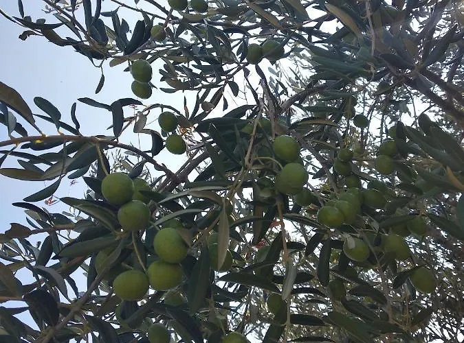 Sara & Kike With Sea View Brodarica (Sibenik-Knin)